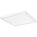 Progress Lighting Everlume Collection White 14" Edgelit Square P810021-030-30